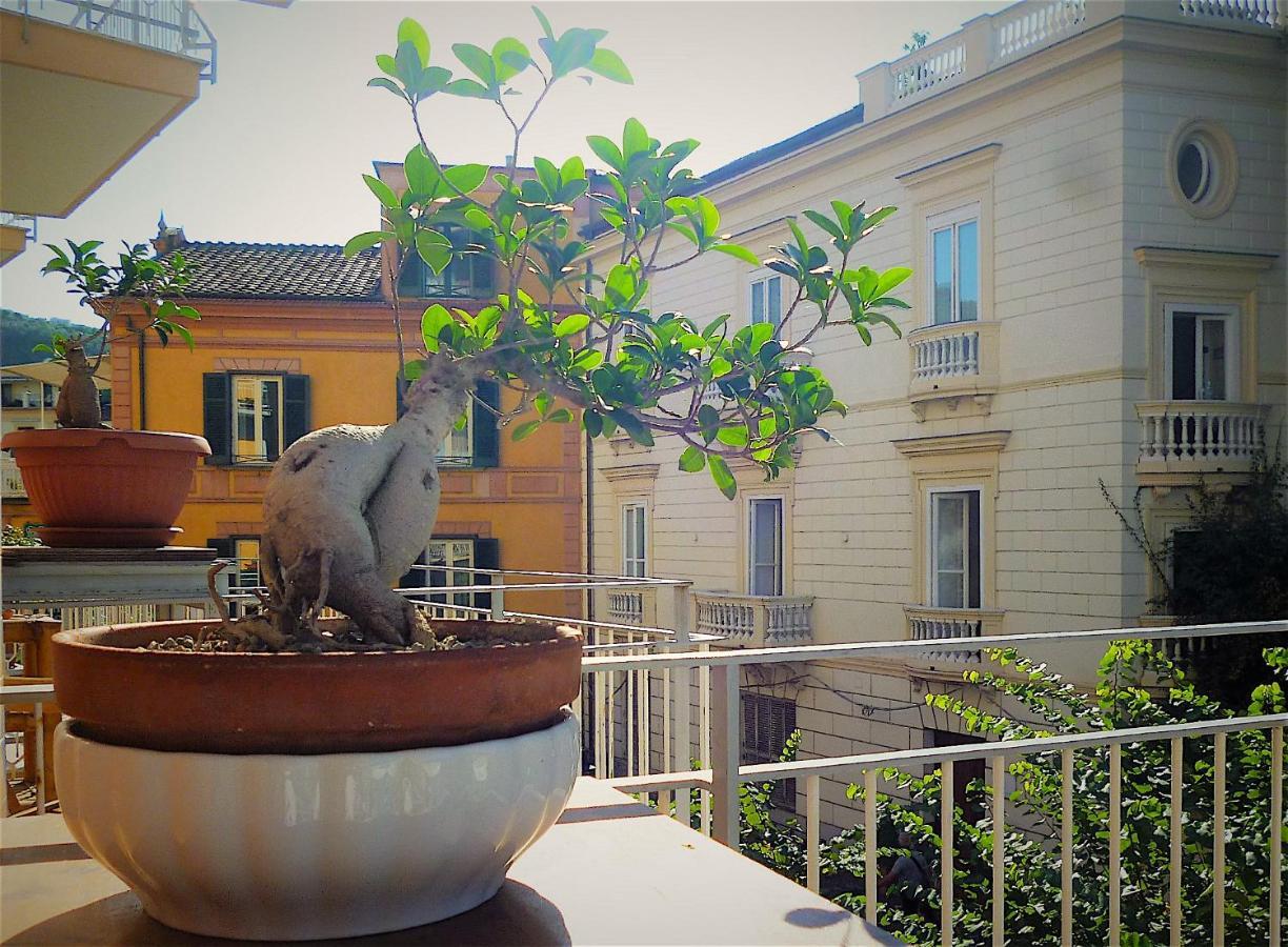 Angelina Suite B&B - Sorrento Centro 外观 照片