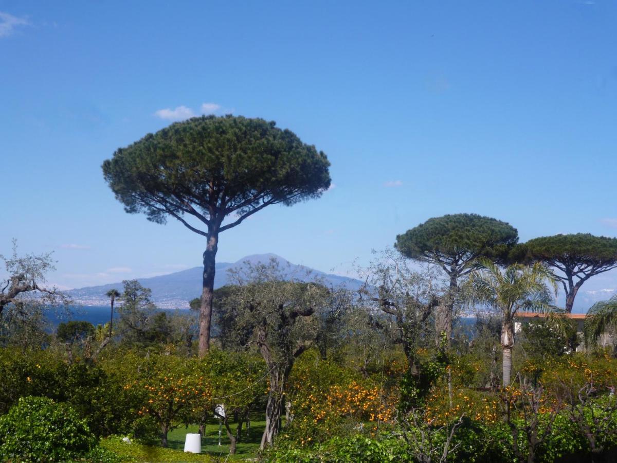 Angelina Suite B&B - Sorrento Centro 外观 照片